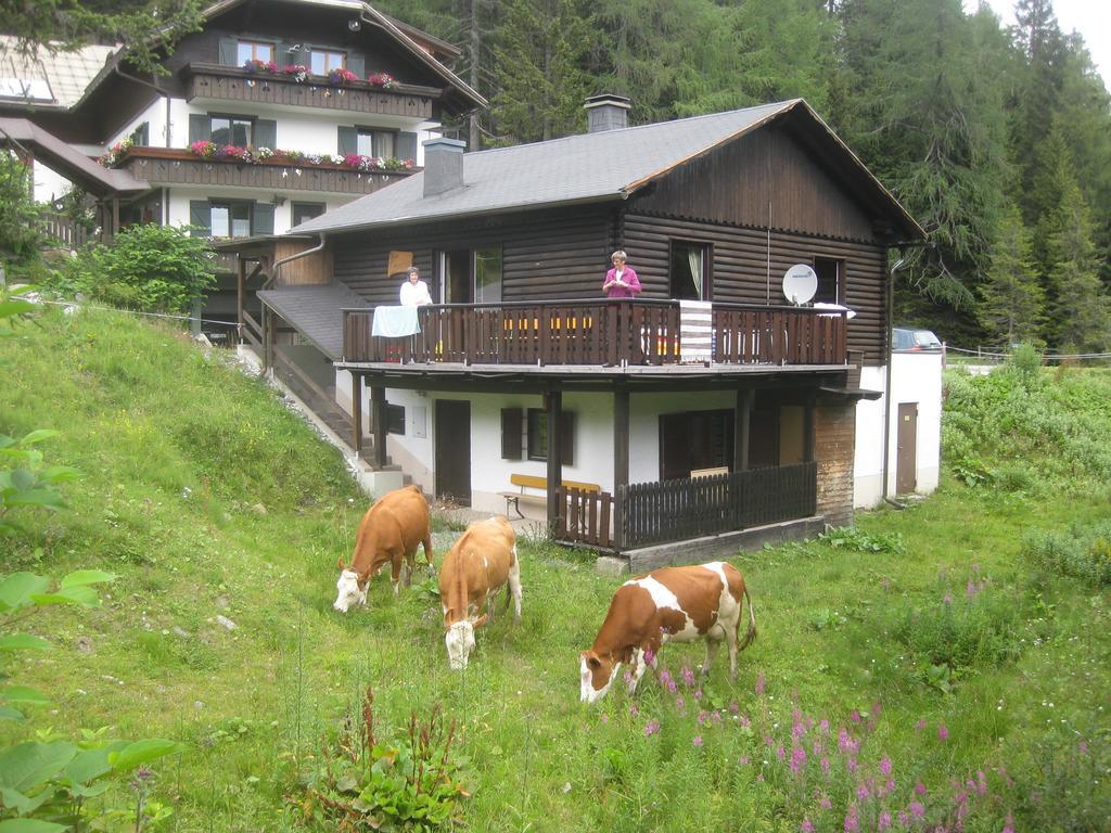 Haus Serena Holiday home *